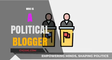 Understanding the Role and Impact of a Political Blogger