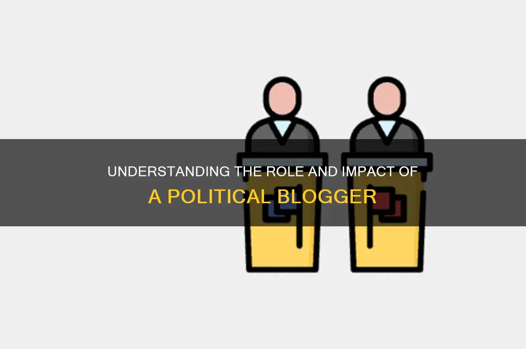 who is a political blogger