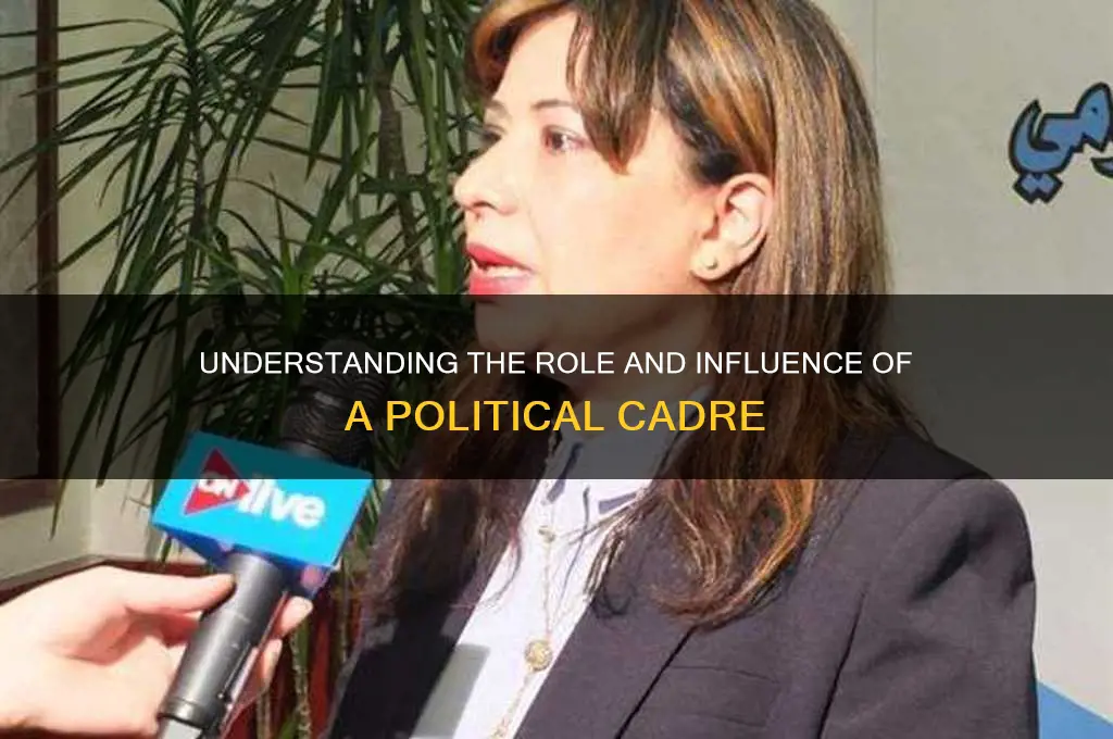 who is a political cadre