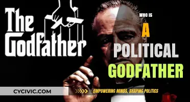 Understanding the Role and Influence of a Political Godfather