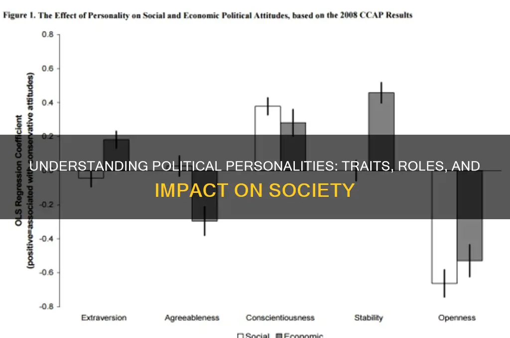 who is a political person