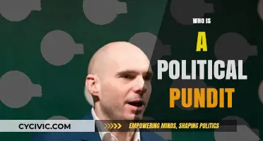 Understanding the Role and Influence of a Political Pundit