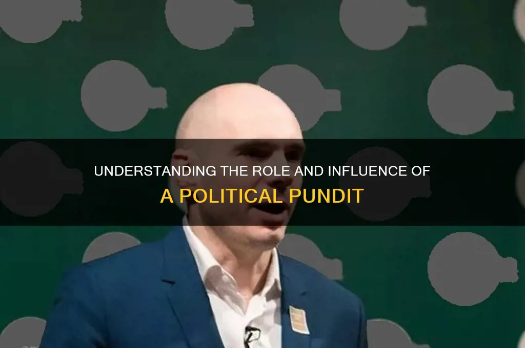 who is a political pundit