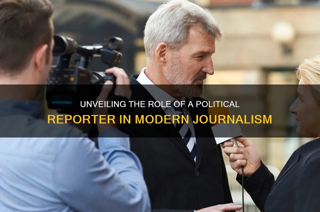 who is a political reporter