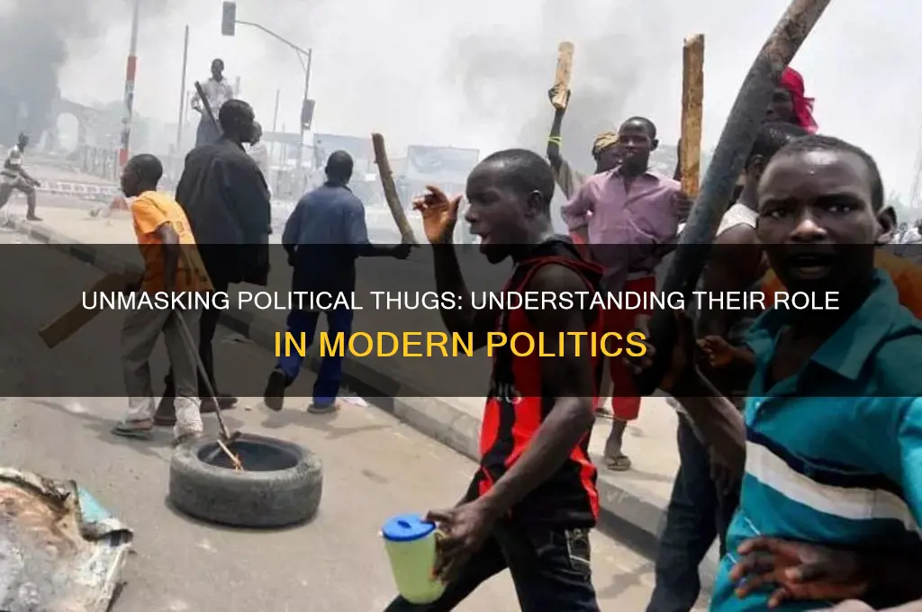 who is a political thug