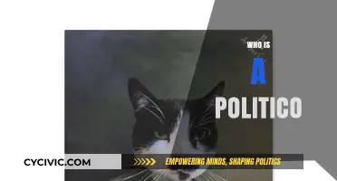 Understanding the Politico: A Deep Dive into Political Enthusiasts