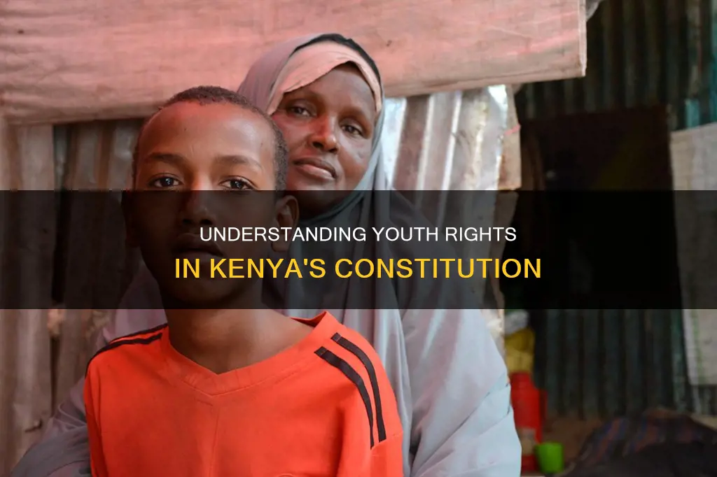 who is a youth according to the kenyan constitution