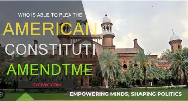 Understanding the Plea for Constitutional Amendments