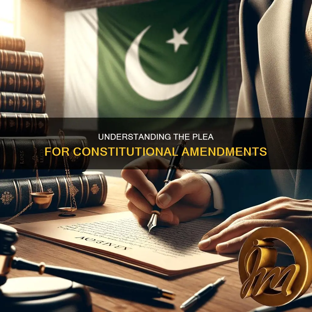 who is able to plea the american constitution amendtment