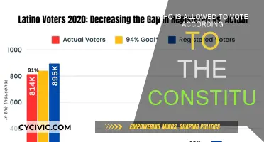 The Right to Vote: Constitutional Eligibility