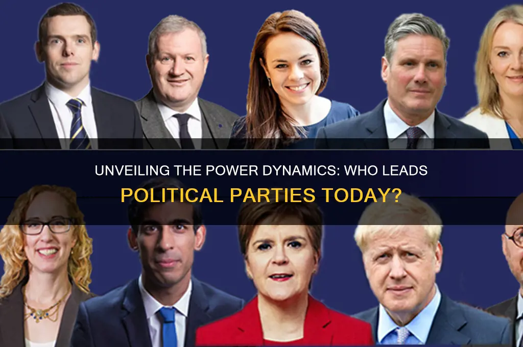 who is at the top of a political party