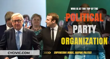 Who Holds the Reins: Unveiling Political Party Leadership Structures