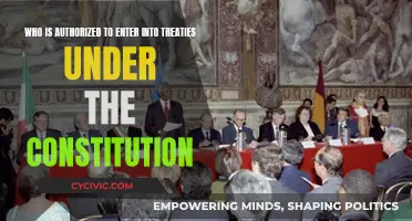 Who Can Constitutionally Enter Treaties?