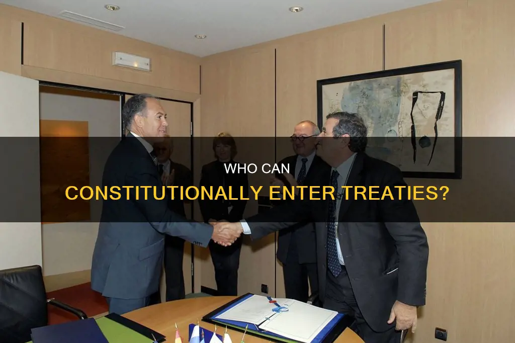 who is authorized to enter into treaties under the constitution