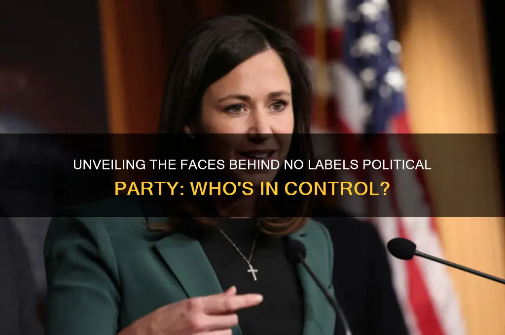 who is behind no labels political party