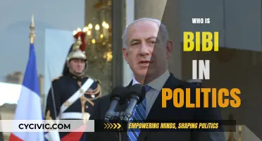 Unveiling Bibi: Benjamin Netanyahu's Political Legacy and Global Influence
