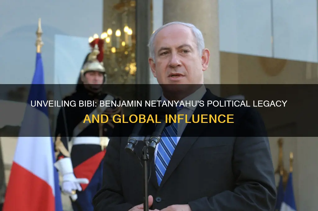 who is bibi in politics