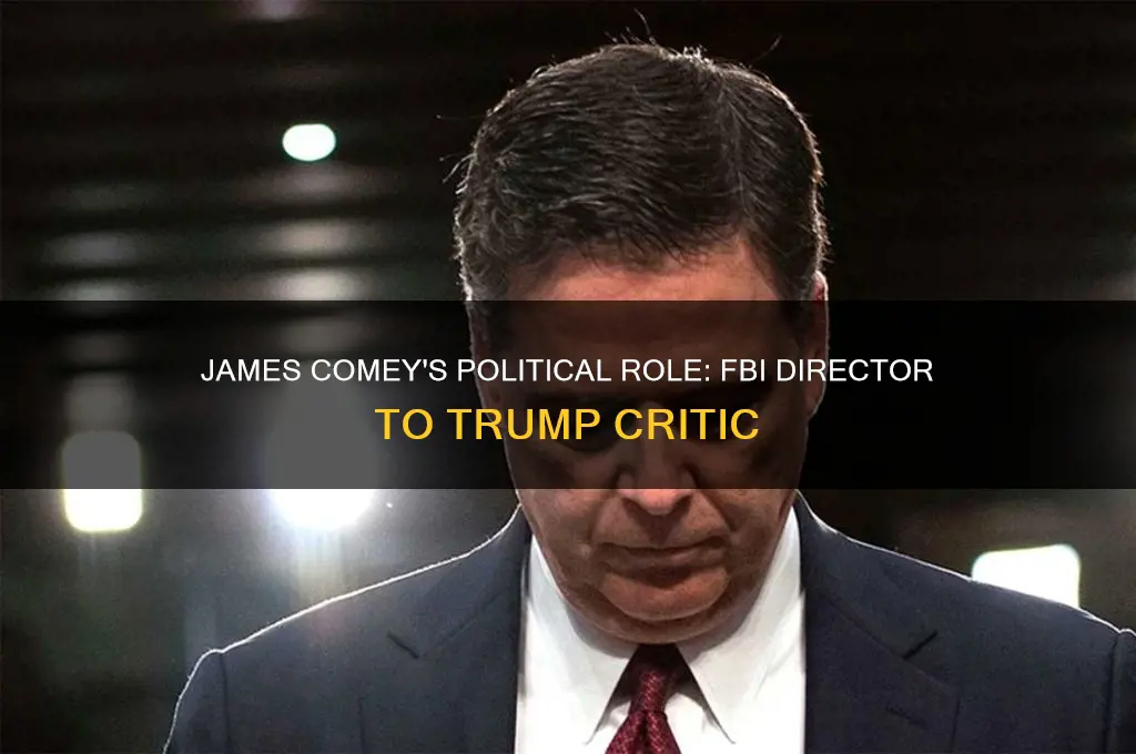 who is comey in politics