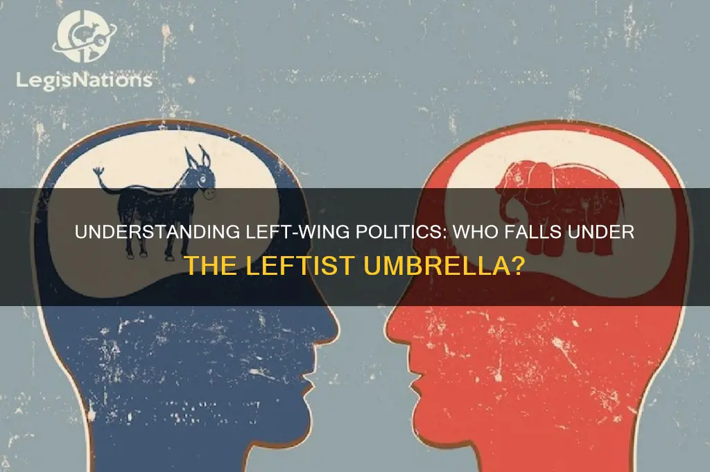 who is considered left politically