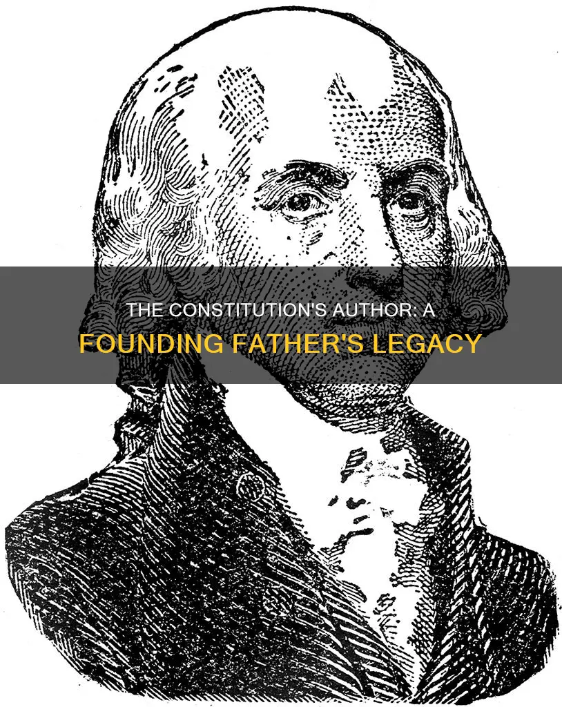 who is considered the primary author of the constitution