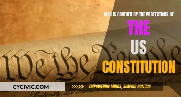 The US Constitution: Who Benefits from Its Protections?