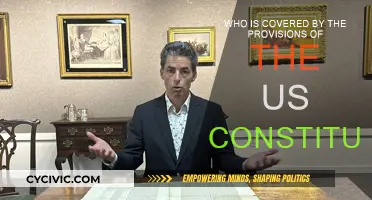 The US Constitution: Who Does It Protect?