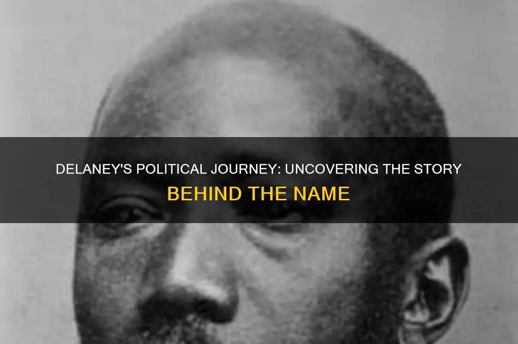 who is delaney in politics