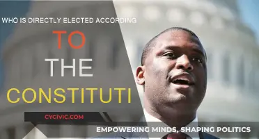 The President: Directly Elected Official