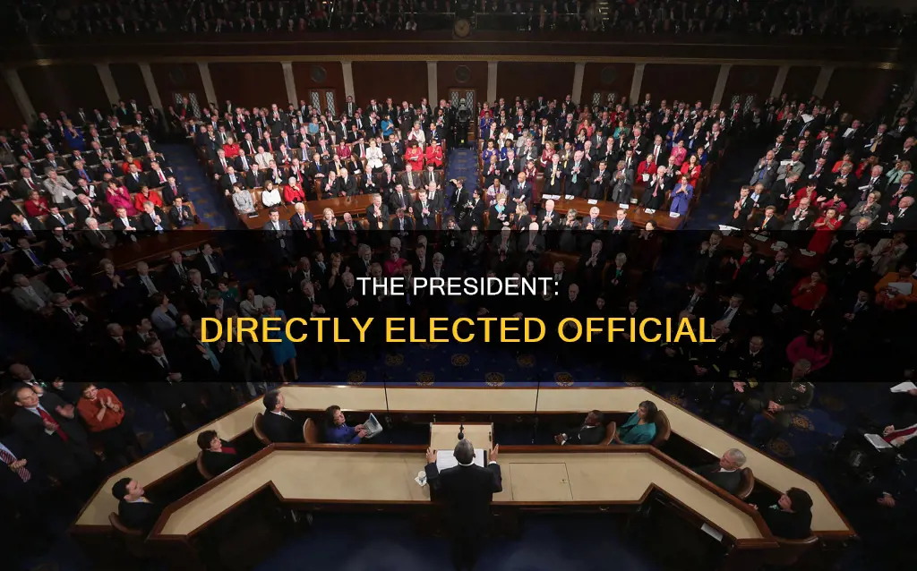 who is directly elected according to the constitution