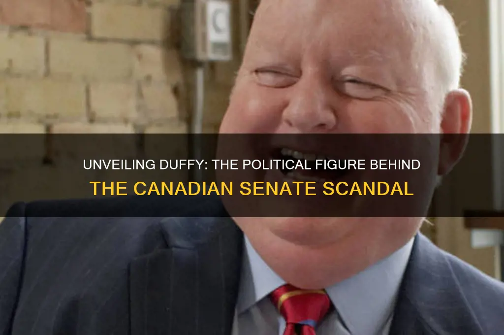 who is duffy in politics
