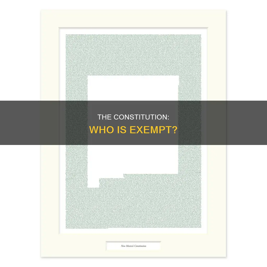 who is exempt from the previsions of the constitution