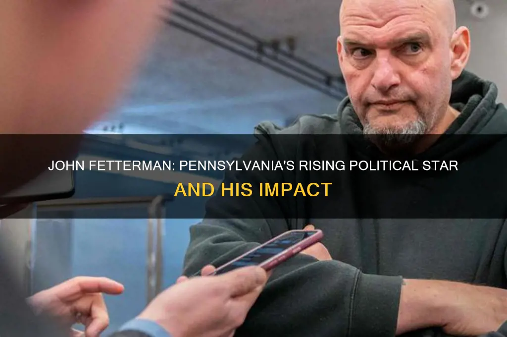 who is fetterman in politics