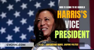 Kamala Harris's Vice President: Who Will She Choose?