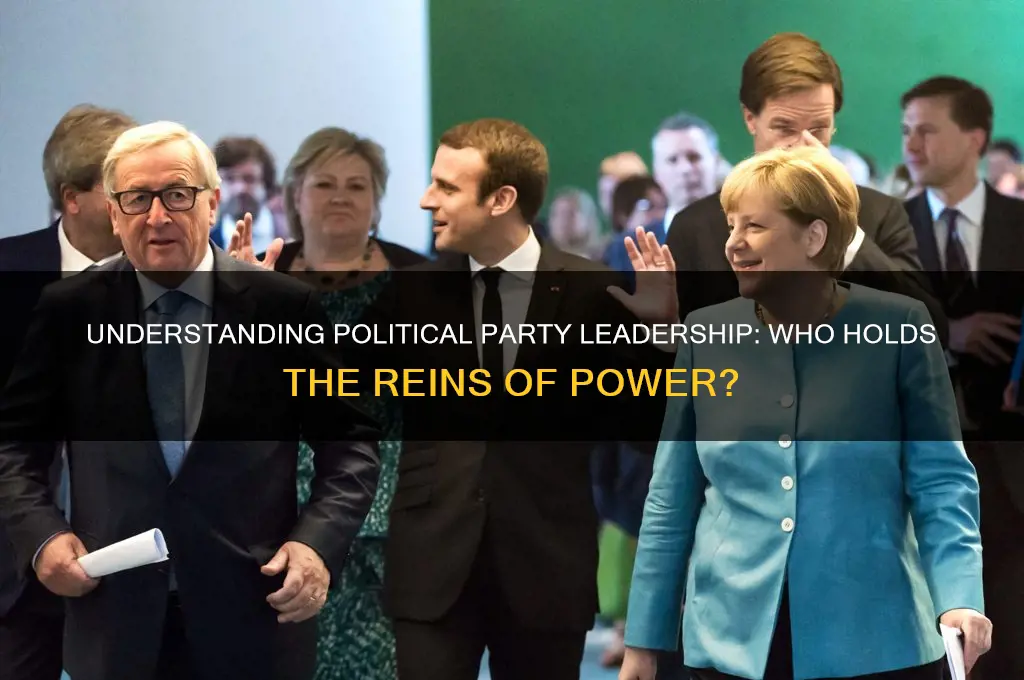 who is in charge of a political party