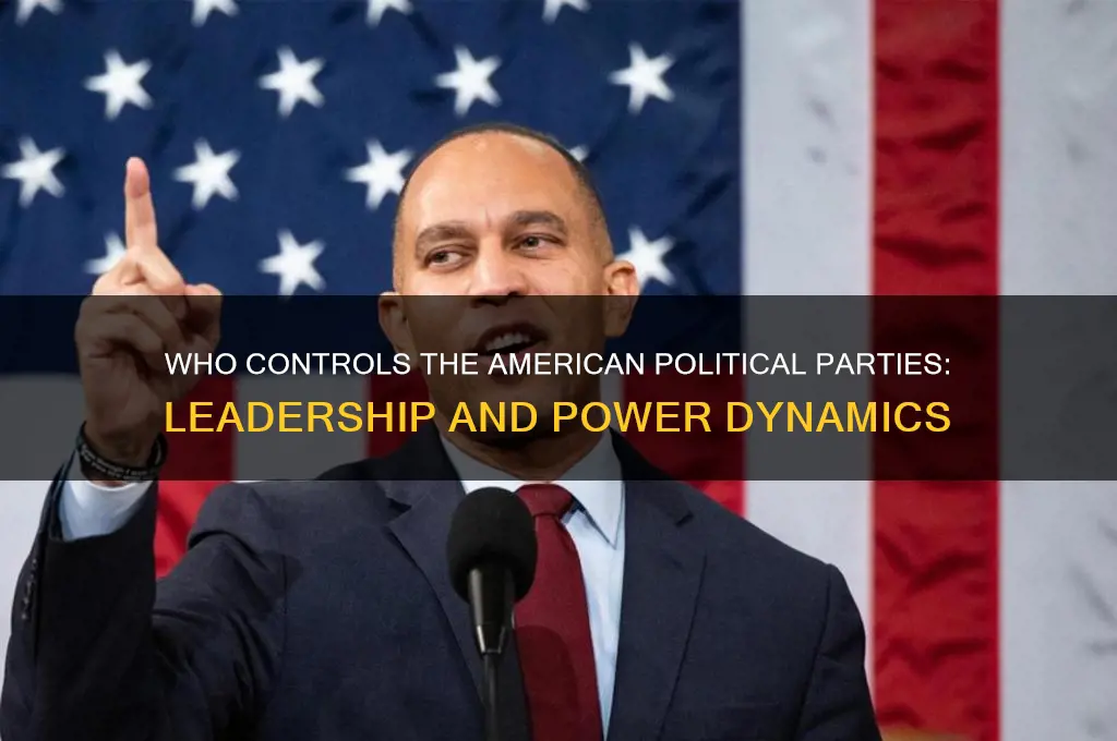 who is in charge of american political party