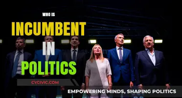 Understanding the Role and Power of Incumbents in Political Elections