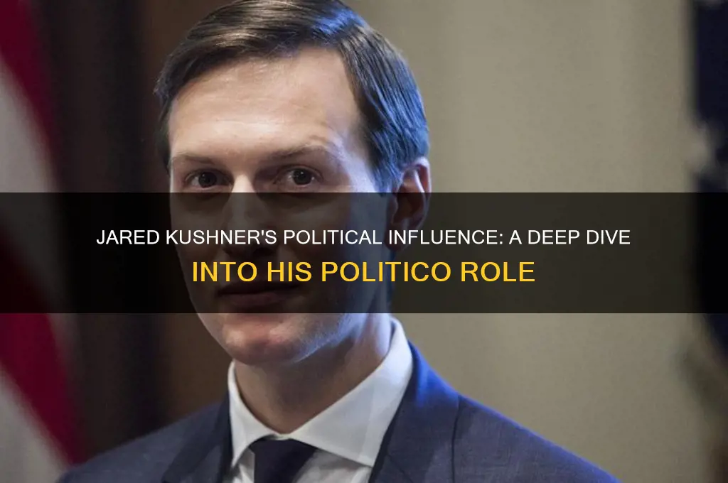 who is jared kushner politico