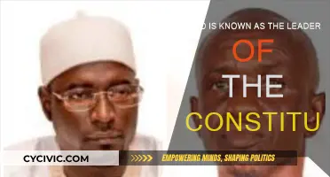 The Constitution's Leader: A Founding Father's Legacy