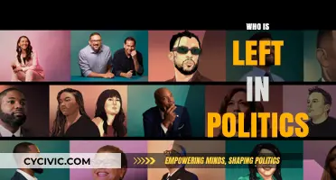 Who Remains in Politics? Exploring the Current Political Landscape