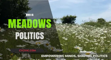 Understanding Meadows Politics: Key Players, Policies, and Impact Explained