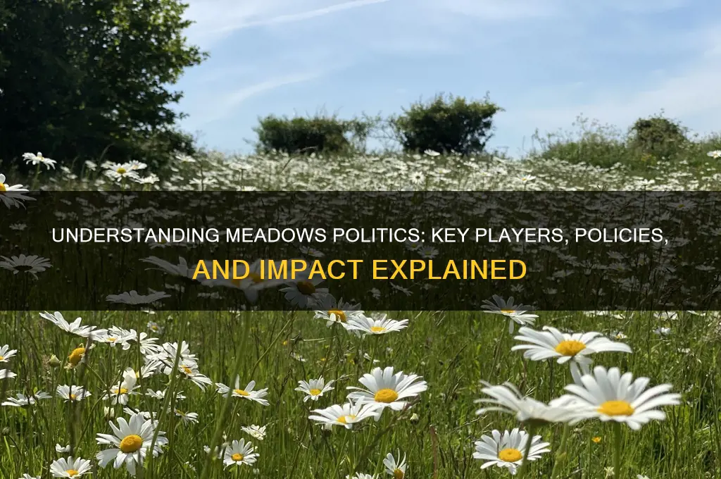 who is meadows politics
