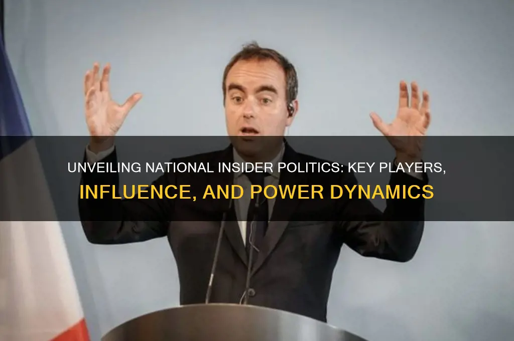 who is national insider politics