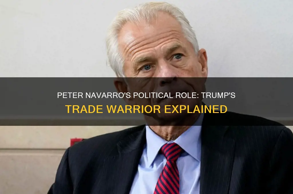 who is navarro in politics