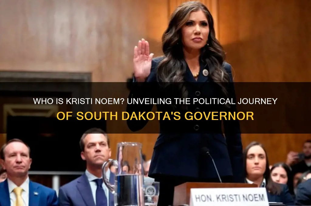 who is noem in politics