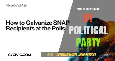 Welfare Recipients: Political Party Affiliations and Voter Demographics Explored