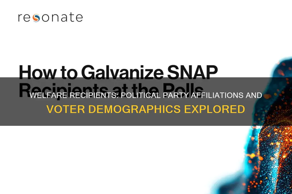 who is on welfare by political party