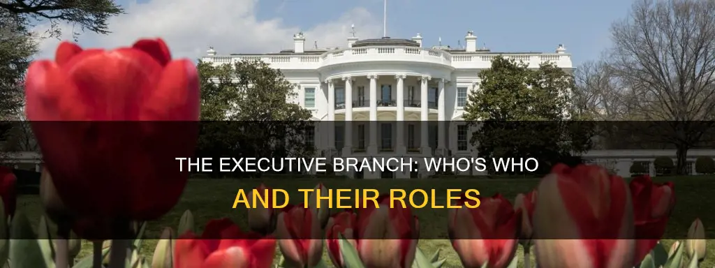 who is part of executive branch