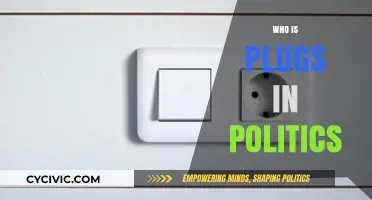 Who is Plugs in Politics? Unmasking the Nickname's Origins and Implications