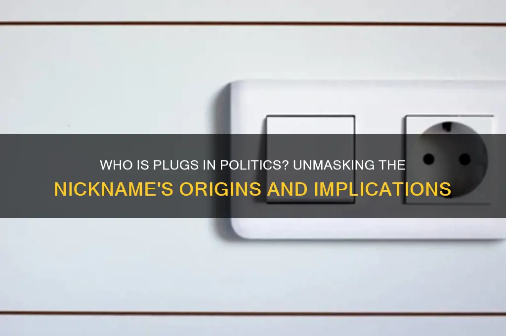 who is plugs in politics