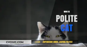 Who is Polite Cat? Unveiling the Internet's Most Mannerly Feline Sensation